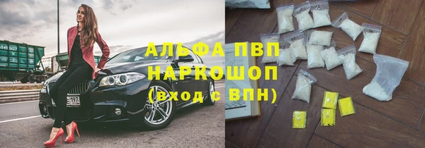 дживик Новозыбков
