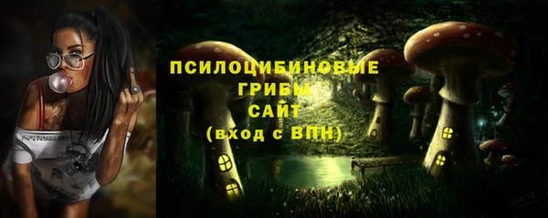 меф Няндома
