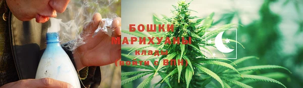 ПСИЛОЦИБИНОВЫЕ ГРИБЫ Новодвинск
