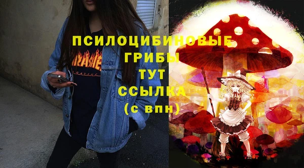 spice Нягань