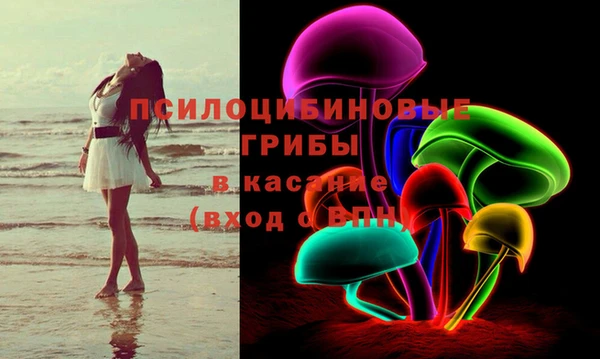 ПСИЛОЦИБИНОВЫЕ ГРИБЫ Новодвинск