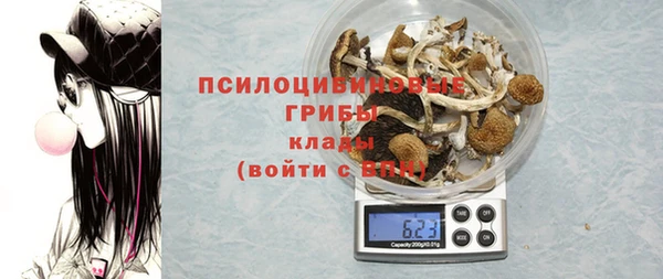 меф Няндома