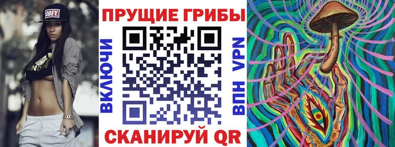 закладка  Михайловск  Псилоцибиновые грибы мухоморы 