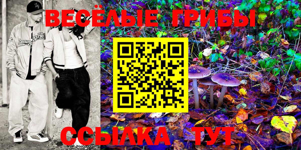 Псилоцибиновые грибы прущие грибы  Вход с VPN  Псилоцибиновые грибы Magic Shrooms  Михайловск 
