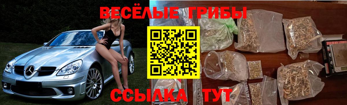Псилоцибиновые грибы мухоморы Михайловск